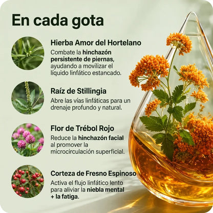 MAYAVERRA ®