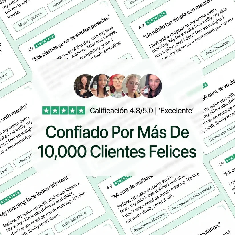 MAYAVERRA ®